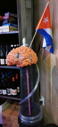 Beer and brain....and Cuba?